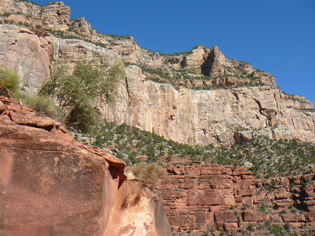 images/B- Mule Ride, riding down in to Grand Canyon (3).jpg